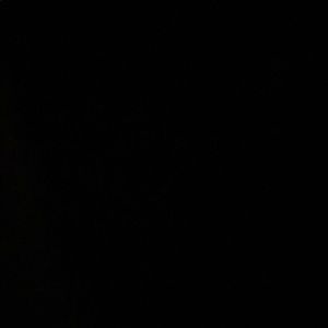 Meet your Posher, Natasha